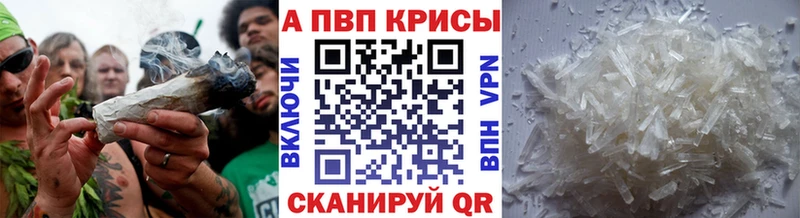 A PVP СК  Суджа 