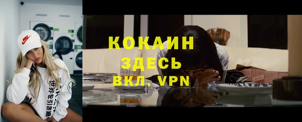 дурь Дмитриев